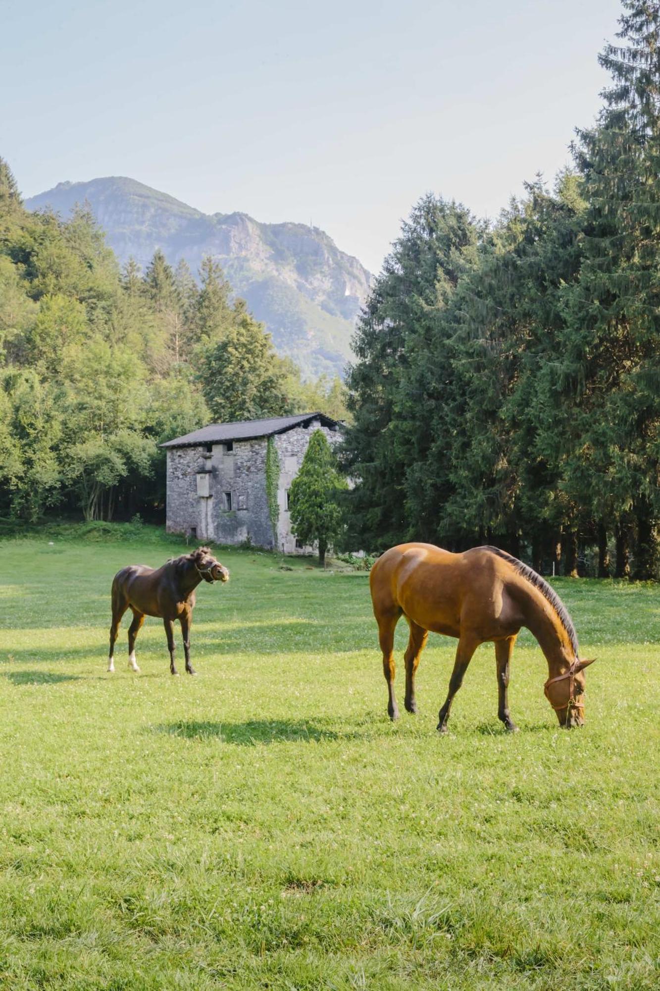 Agriturismo Ferdy Villa Lenna Екстериор снимка