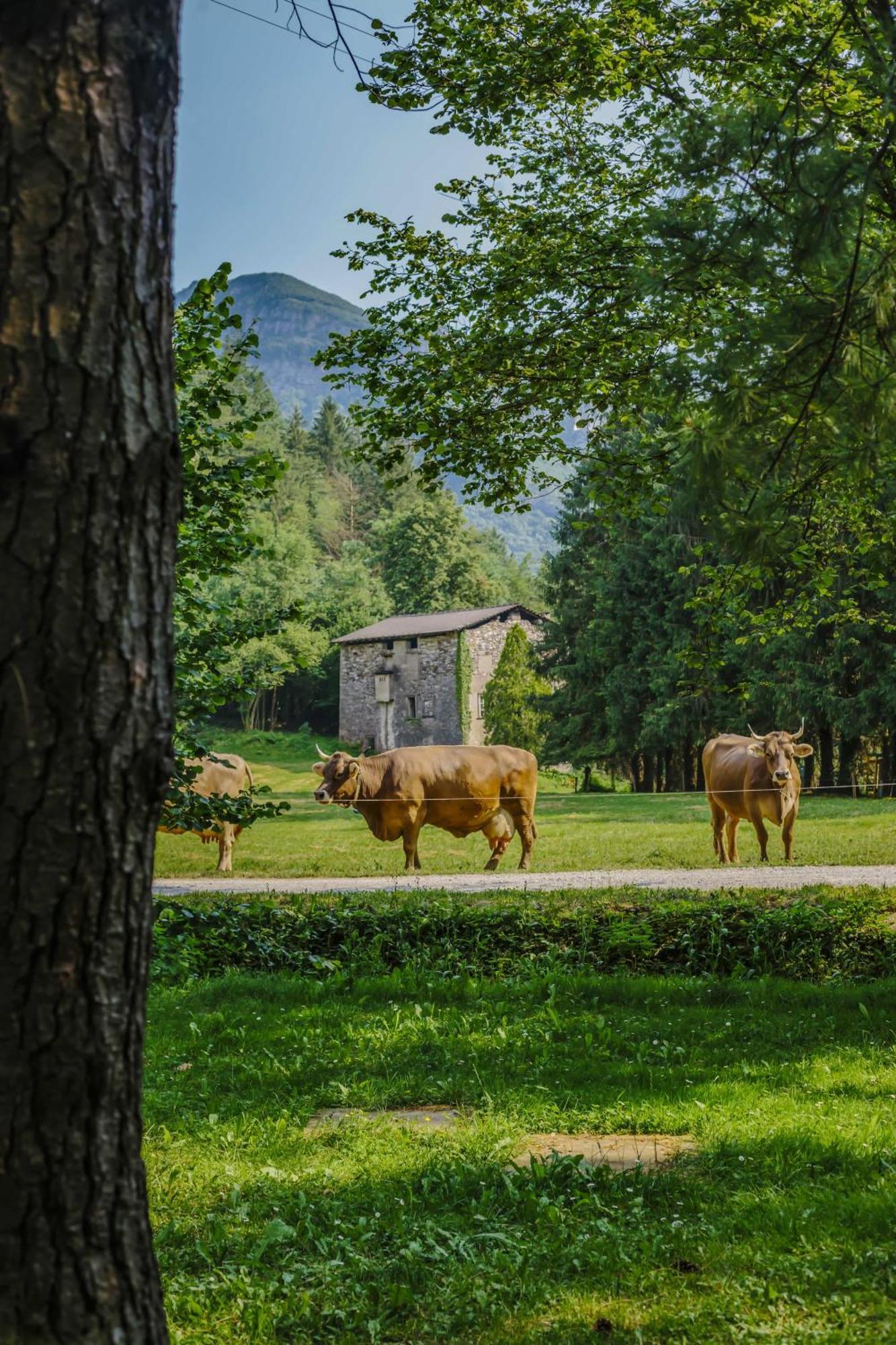 Agriturismo Ferdy Villa Lenna Екстериор снимка